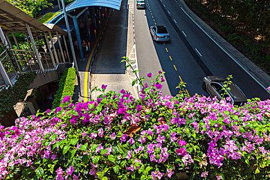 九番队队长东仙要参战《死神：魂魄觉醒》